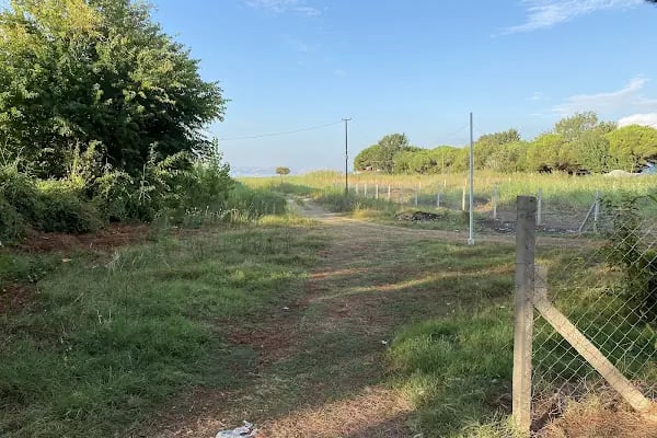 Cumhuriyet Camping - Resim 10