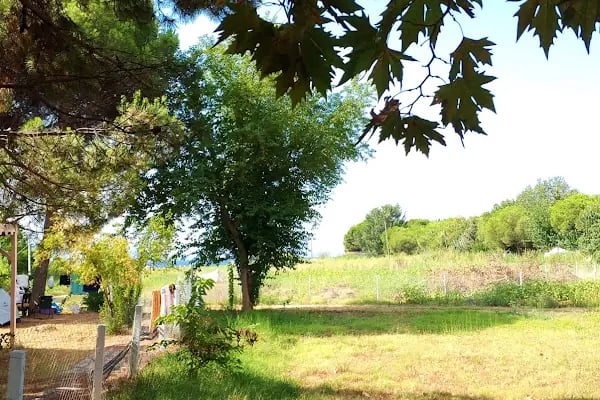 Cumhuriyet Camping - Resim 2