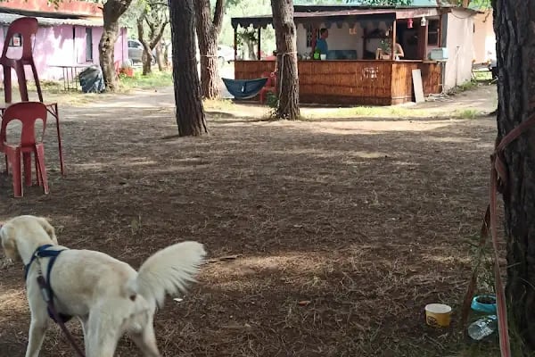 Cumhuriyet Camping - Resim 12