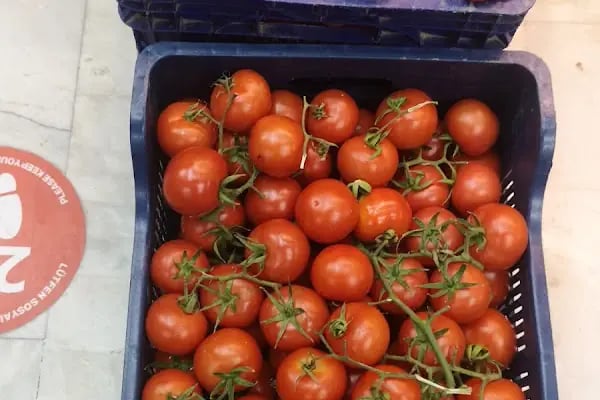 Seç Market Halikarnas - Resim 19