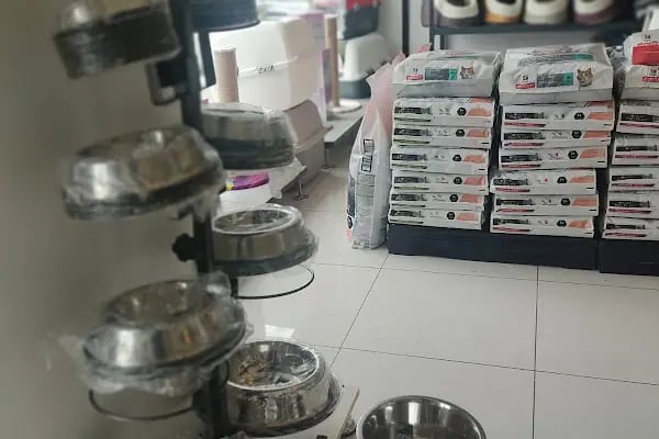 Balım Petshop - Resim 6