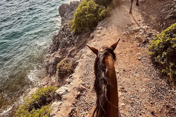 Bodrum Horse Riding - Resim 13