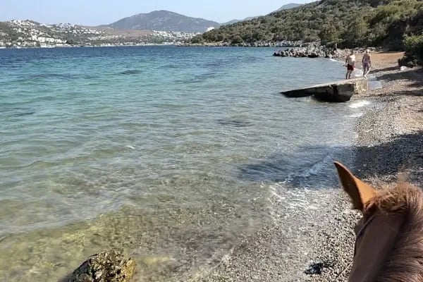 Bodrum Horse Riding - Resim 15