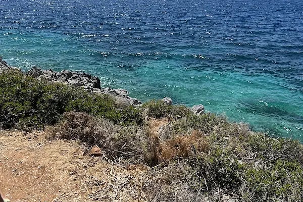 Bodrum Horse Riding - Resim 4