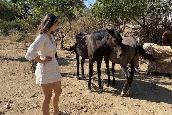 Bodrum Horse Riding - Resim 19