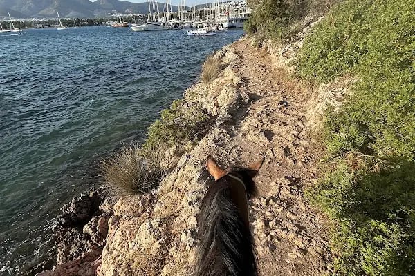 Bodrum Horse Riding - Resim 7
