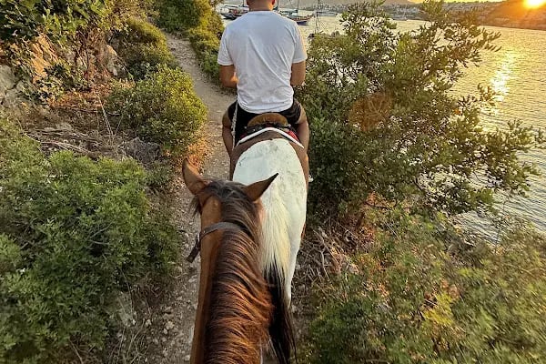 Bodrum Horse Riding - Resim 6