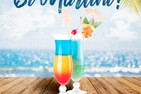 Adalar Web Tasarım & SEO Ajansı - Resim 12