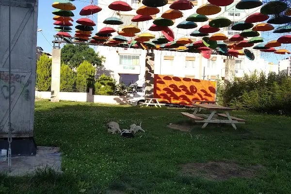 Şemsiyeli Park - Resim 17
