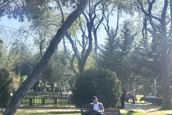Röne Park Çay Bahçesi - Resim 7