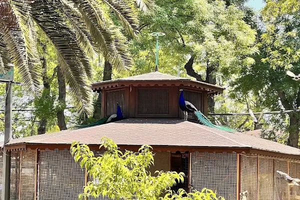 Röne Park Çay Bahçesi - Resim 12