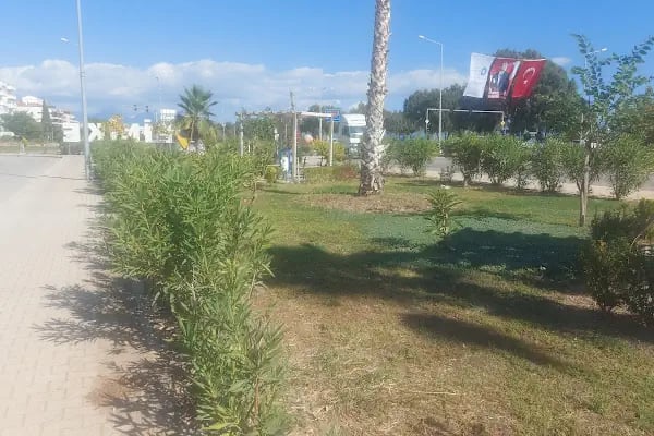 Finike parkı - Resim 3