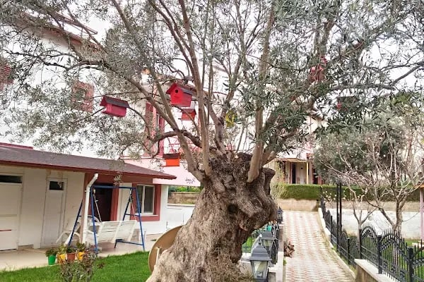 Gurupkent Sitesi - Resim 4
