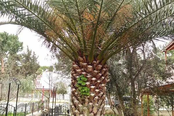Gurupkent Sitesi - Resim 8
