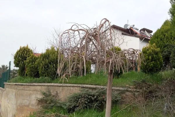Gurupkent Sitesi - Resim 7