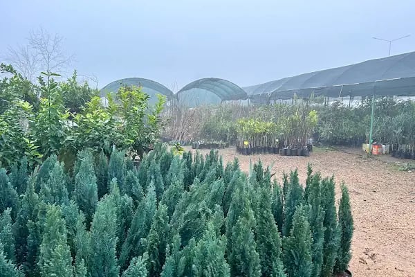 4K BAHÇE DÜNYASI - Resim 7