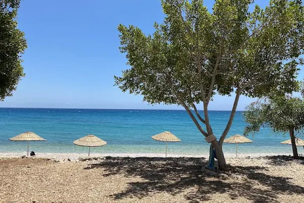 Akçakıl Kamping - Resim 6