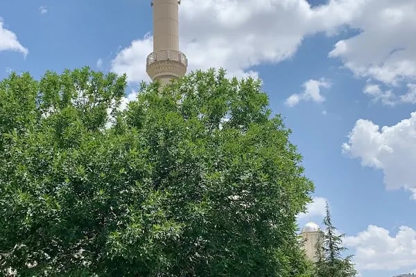 Zeki Altındağ Cami - Resim 18