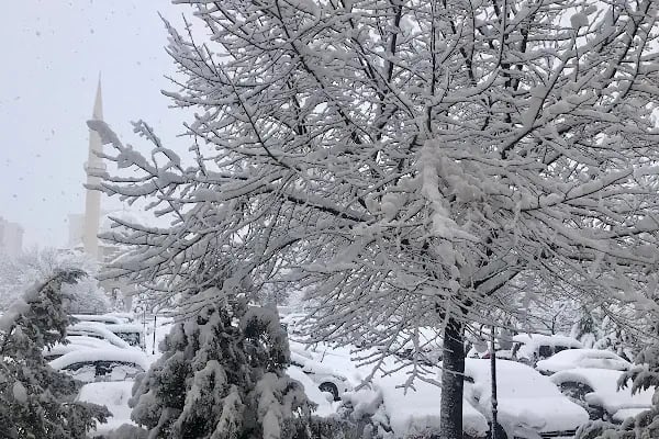 Zeki Altındağ Cami - Resim 6