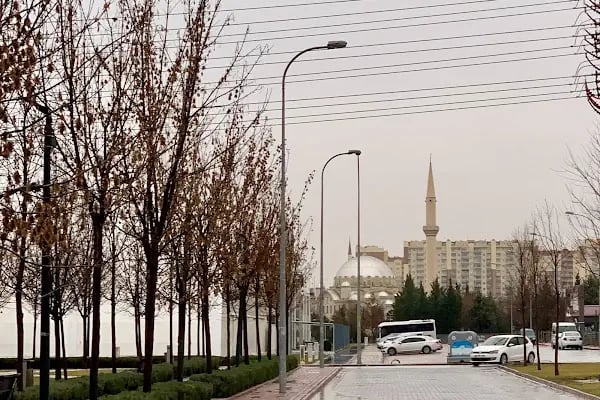 Zeki Altındağ Cami - Resim 10
