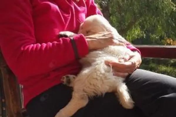 Uzm. Dr. Sibel Kılıçaslan, Çocuk Sağlığı Ve Hastalıkları - Resim 10