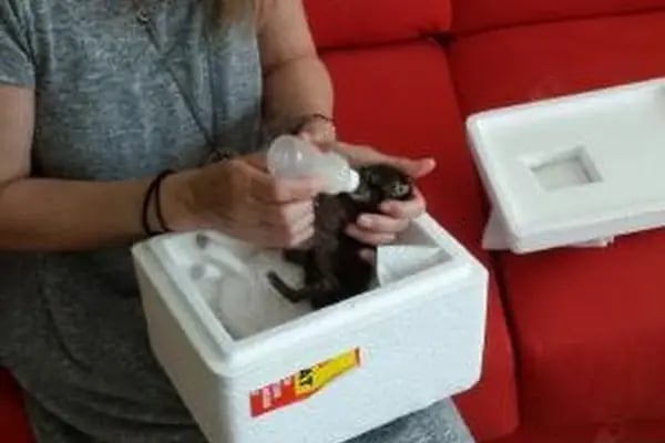 Uzm. Dr. Sibel Kılıçaslan, Çocuk Sağlığı Ve Hastalıkları - Resim 11