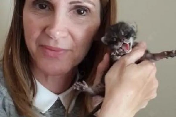 Uzm. Dr. Sibel Kılıçaslan, Çocuk Sağlığı Ve Hastalıkları - Resim 18