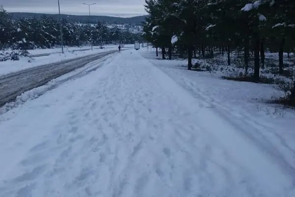 Dokuz Eylül Üniversitesi Tınaztepe Kampüsü Amfi Tiyatro - Resim 9