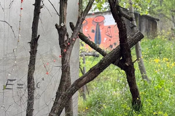 Helikon art Center - Resim 18
