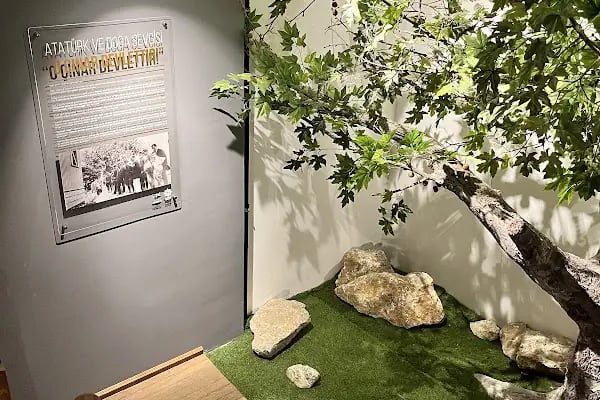 Karesi Atatürk Evi - Resim 18