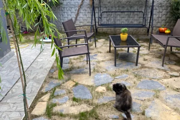 Bursa Peyzaj Ağaç Kesim Bahçe Düzenleme Budama Çim Dikimi Profesyonel Dizayn - Resim 4