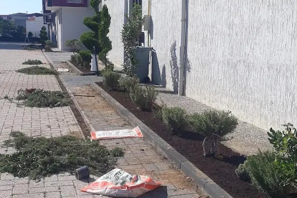 Bursa Peyzaj Ağaç Kesim Bahçe Düzenleme Budama Çim Dikimi Profesyonel Dizayn - Resim 16
