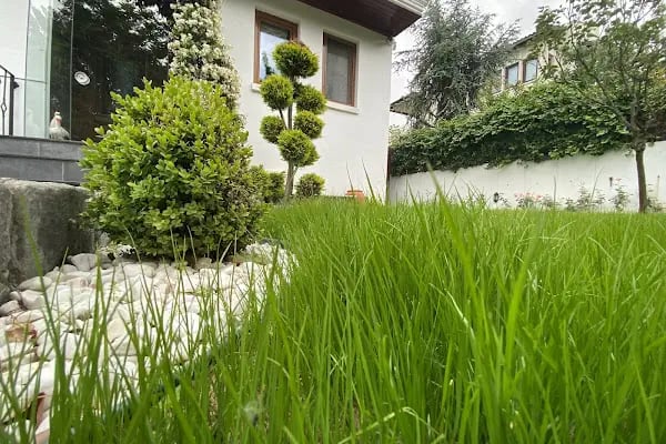 Bursa Peyzaj Ağaç Kesim Bahçe Düzenleme Budama Çim Dikimi Profesyonel Dizayn - Resim 18