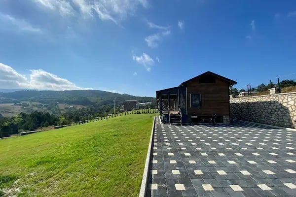 Bursa Peyzaj Ağaç Kesim Bahçe Düzenleme Budama Çim Dikimi Profesyonel Dizayn - Resim 10