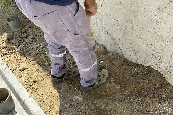 Bursa Peyzaj Ağaç Kesim Bahçe Düzenleme Budama Çim Dikimi Profesyonel Dizayn - Resim 13
