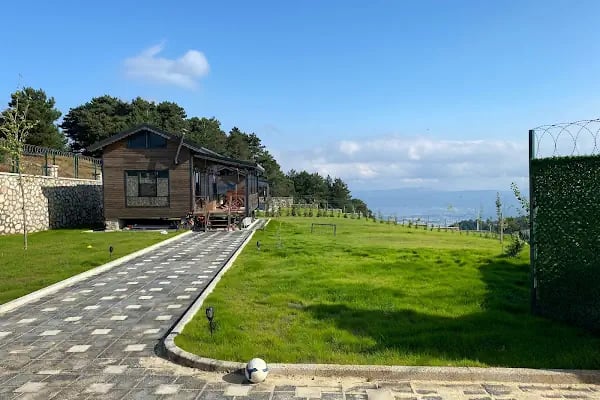 Bursa Peyzaj Ağaç Kesim Bahçe Düzenleme Budama Çim Dikimi Profesyonel Dizayn - Resim 9