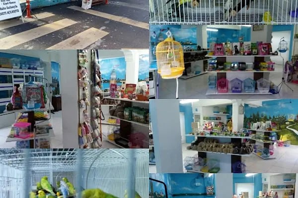 Cadde Petshop - Resim 14