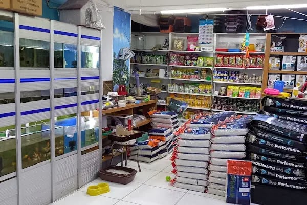 Cadde Petshop - Resim 9