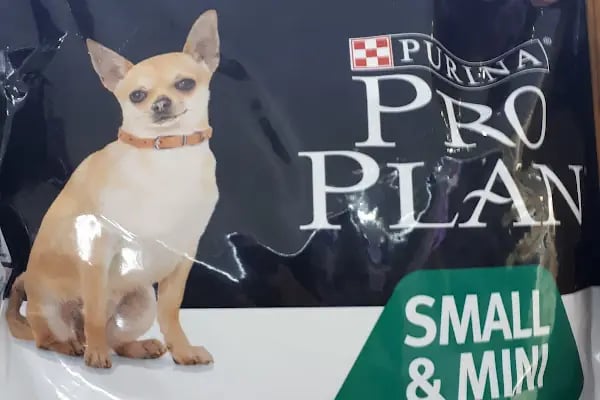 Cadde Petshop - Resim 7