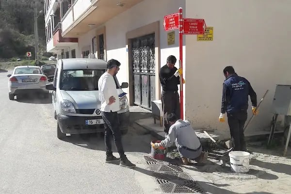 Ercümentin Saklı Bahçesi - Resim 12