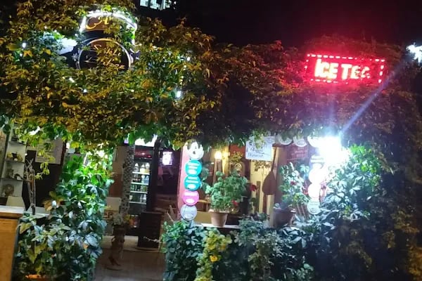 Ercümentin Saklı Bahçesi - Resim 2