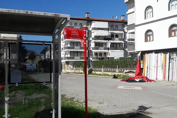 Ercümentin Saklı Bahçesi - Resim 7