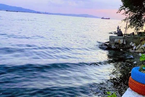 Ercümentin Saklı Bahçesi - Resim 18