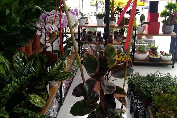 Vizyon Garden Düğün ve Kongre Merkezi - Resim 17