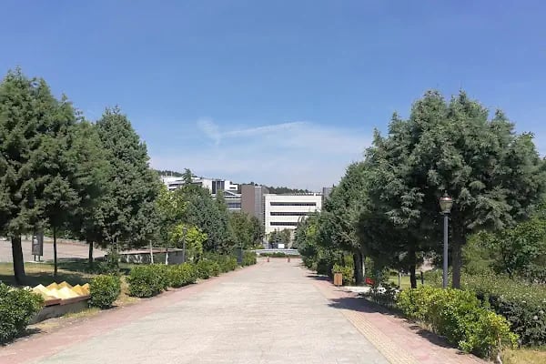 Kocaeli Üniversitesi Umuttepe Kampüsü B Kapısı - Resim 4