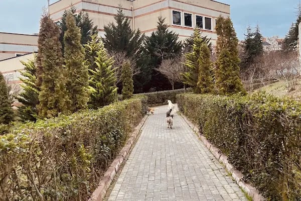 Kocaeli Üniversitesi Umuttepe Kampüsü B Kapısı - Resim 14