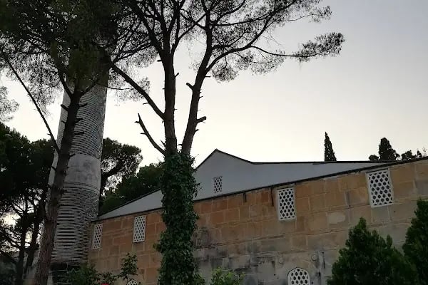 Birgi Çınaraltı Pansiyon - Resim 15