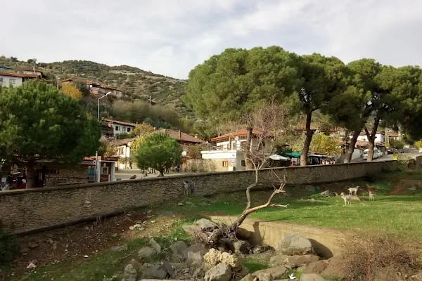 Birgi Çınaraltı Pansiyon - Resim 16