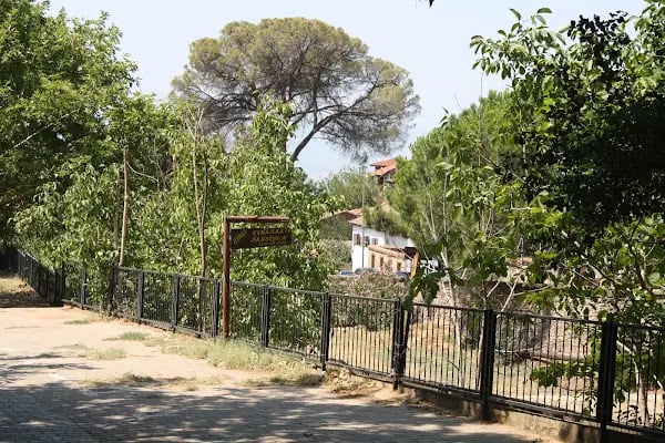 Birgi Çınaraltı Pansiyon - Resim 4