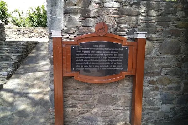 Birgi Çınaraltı Pansiyon - Resim 17